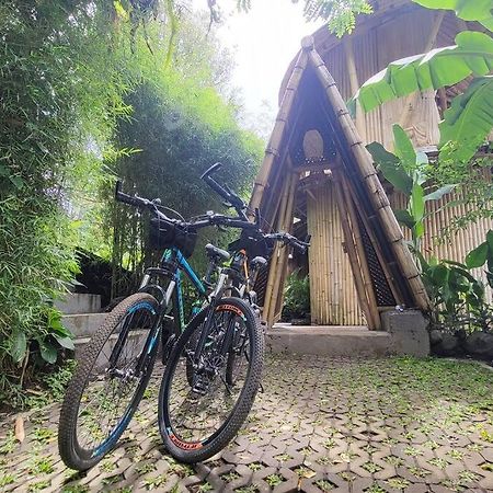 The Nude House Villa Selat Exterior photo