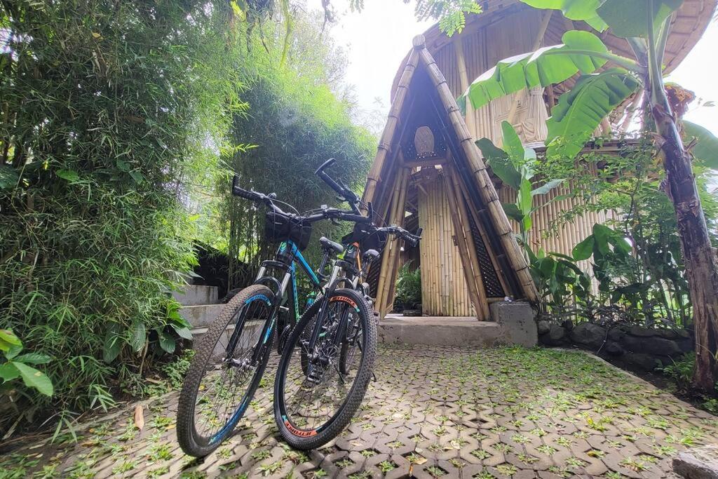The Nude House Villa Selat Exterior photo